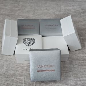 Pandora Silver and White Box Collection